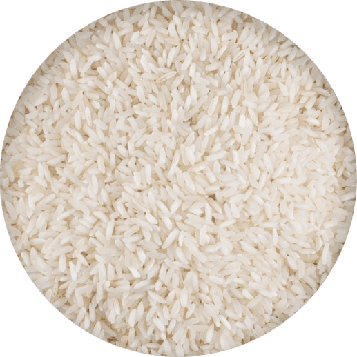 Rýže