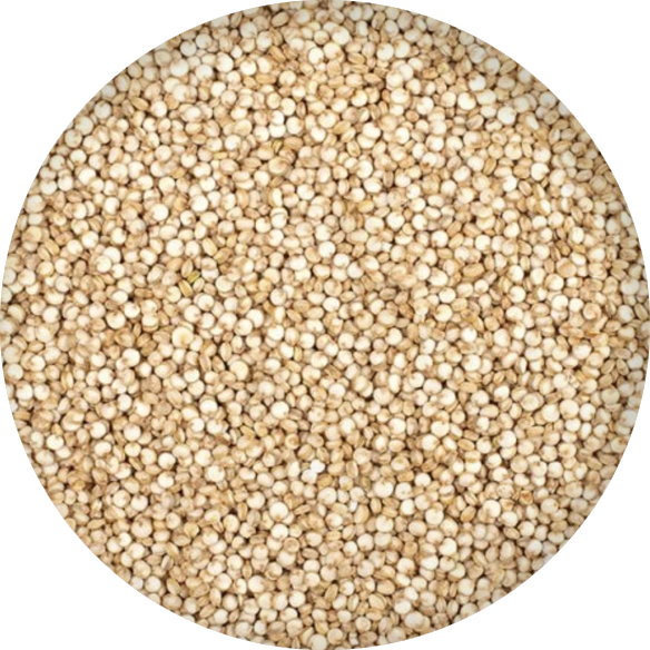 Quinoa bílá