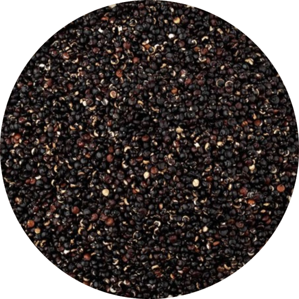Quinoa černá
