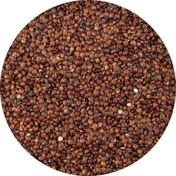 Quinoa červená